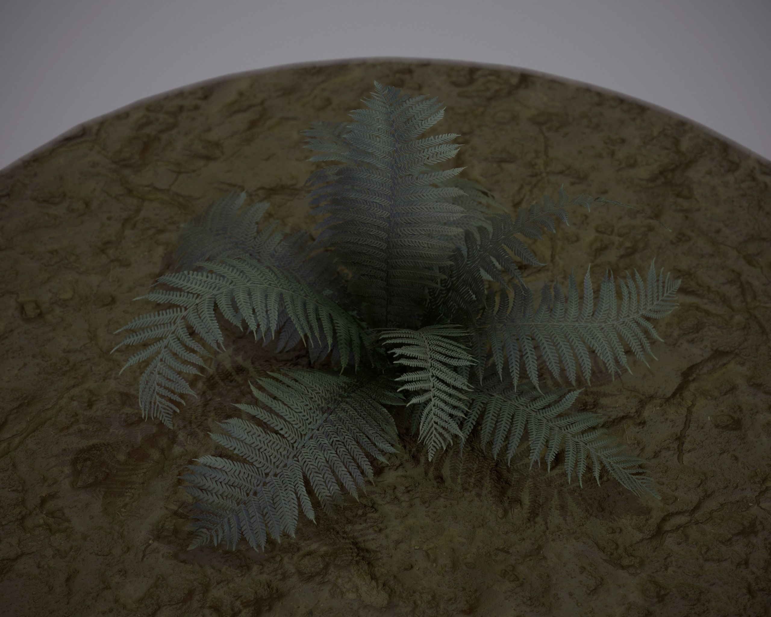 Nature Assets - Fern - Game Ready Low-poly 3D model_4