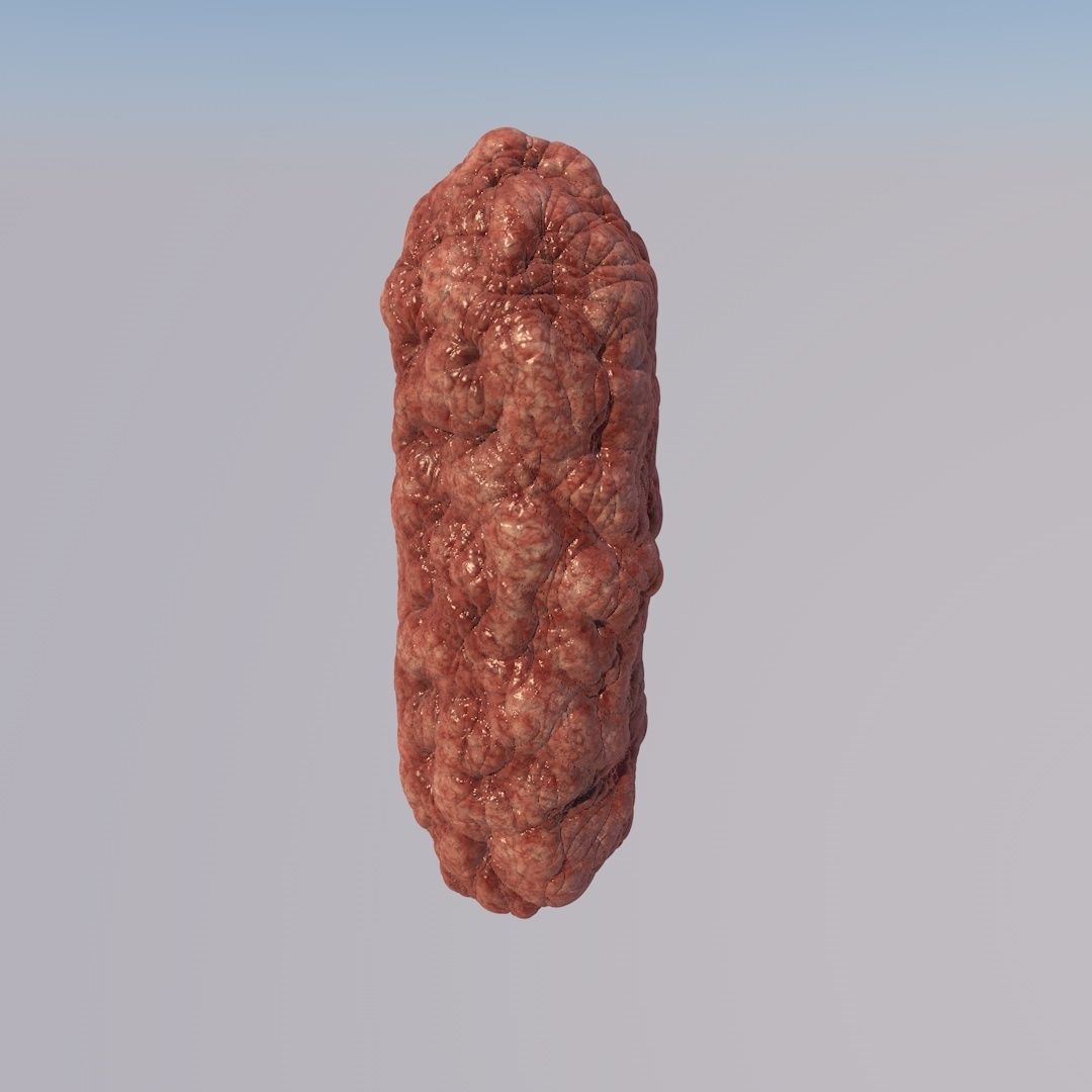 Bacillus Bacteria Virus 3D Model like Brain 2019 3D model_5