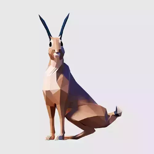 Rabbit polygonal hare
