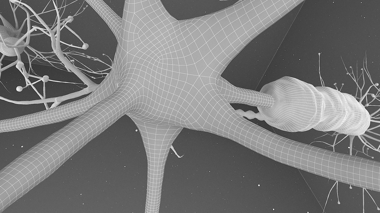 Neuron 3D model_21