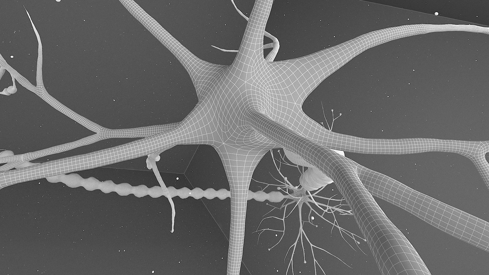 Neuron 3D model_20