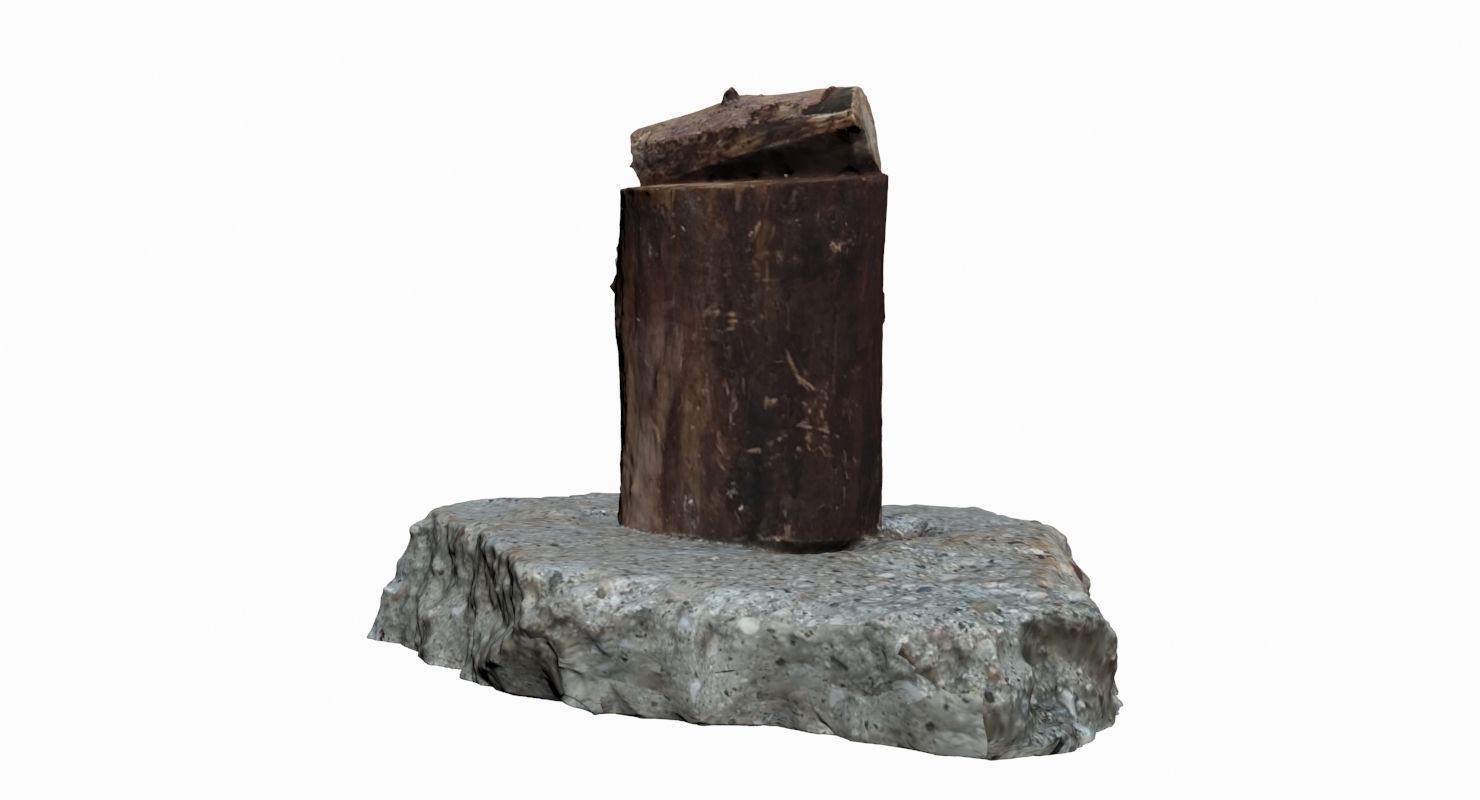 Wooden Log Low-poly 3D model_6