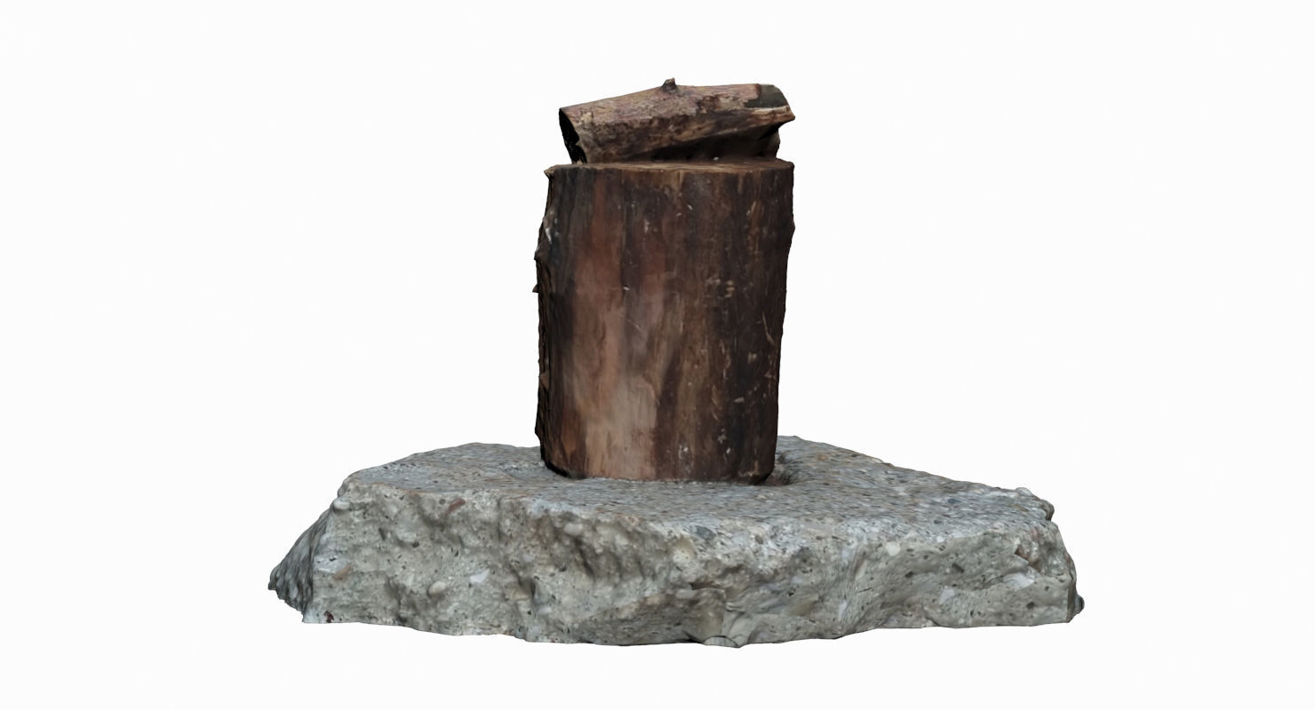 Wooden Log Low-poly 3D model_5