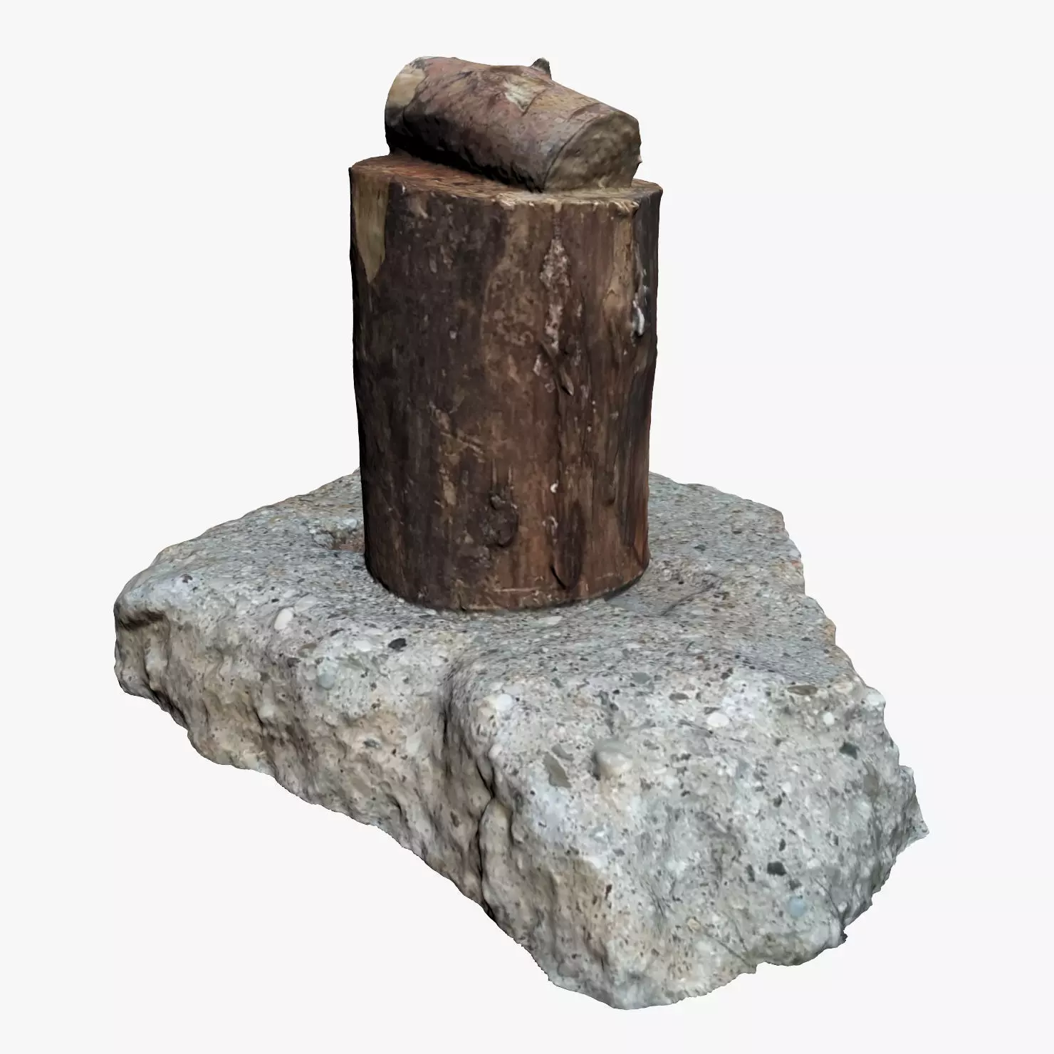 Wooden Log Low-poly 3D model_0