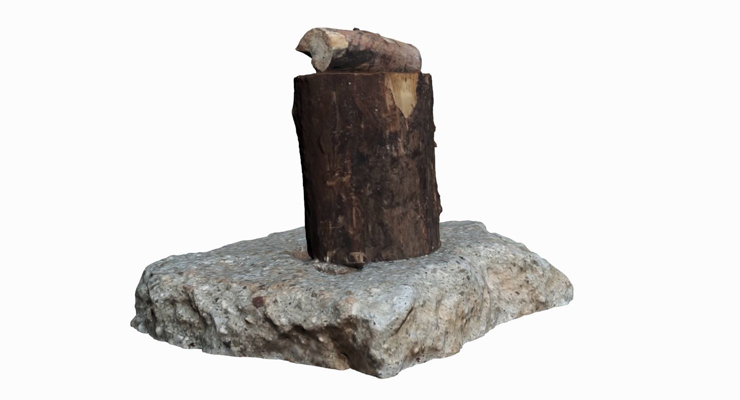Wooden Log Low-poly 3D model_1
