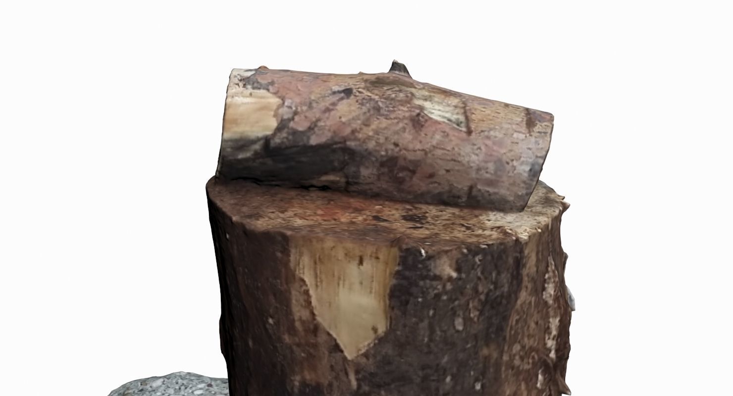 Wooden Log Low-poly 3D model_7