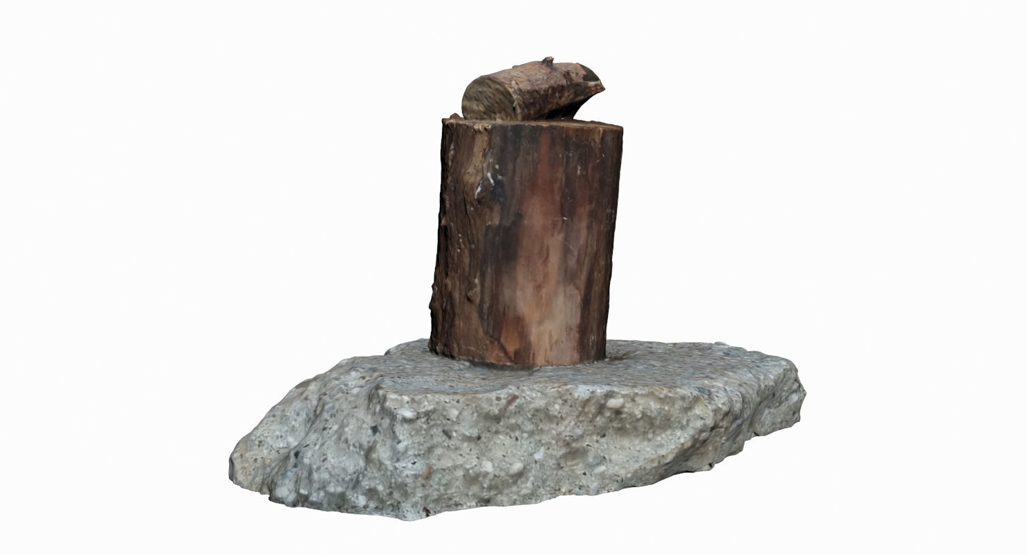 Wooden Log Low-poly 3D model_4