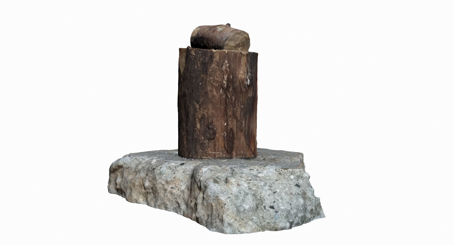 Wooden Log Low-poly 3D model_3
