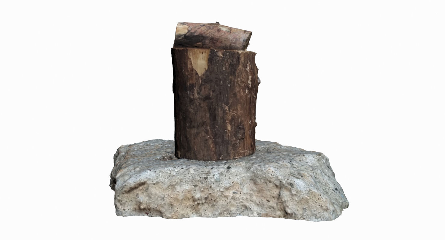 Wooden Log Low-poly 3D model_2