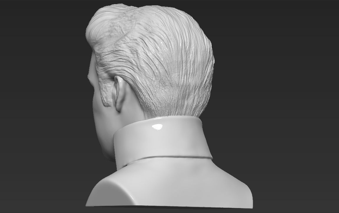 Elvis Presley bust 3D printing ready stl obj formats 3D print model_4