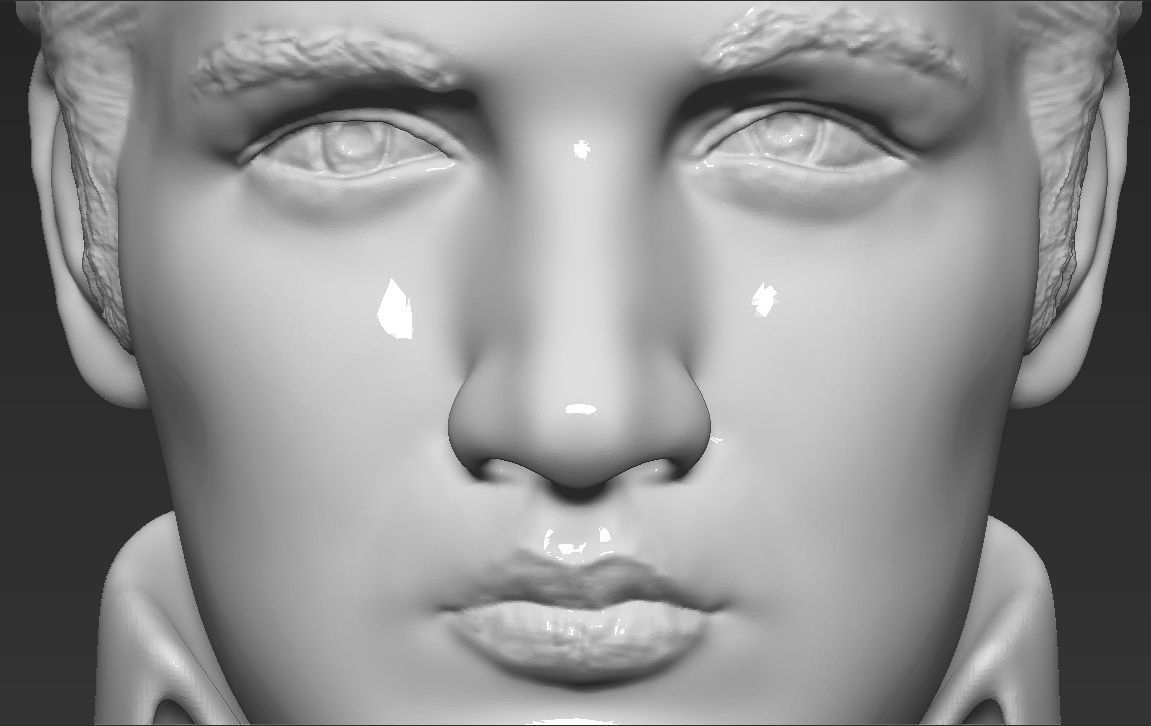 Elvis Presley bust 3D printing ready stl obj formats 3D print model_14