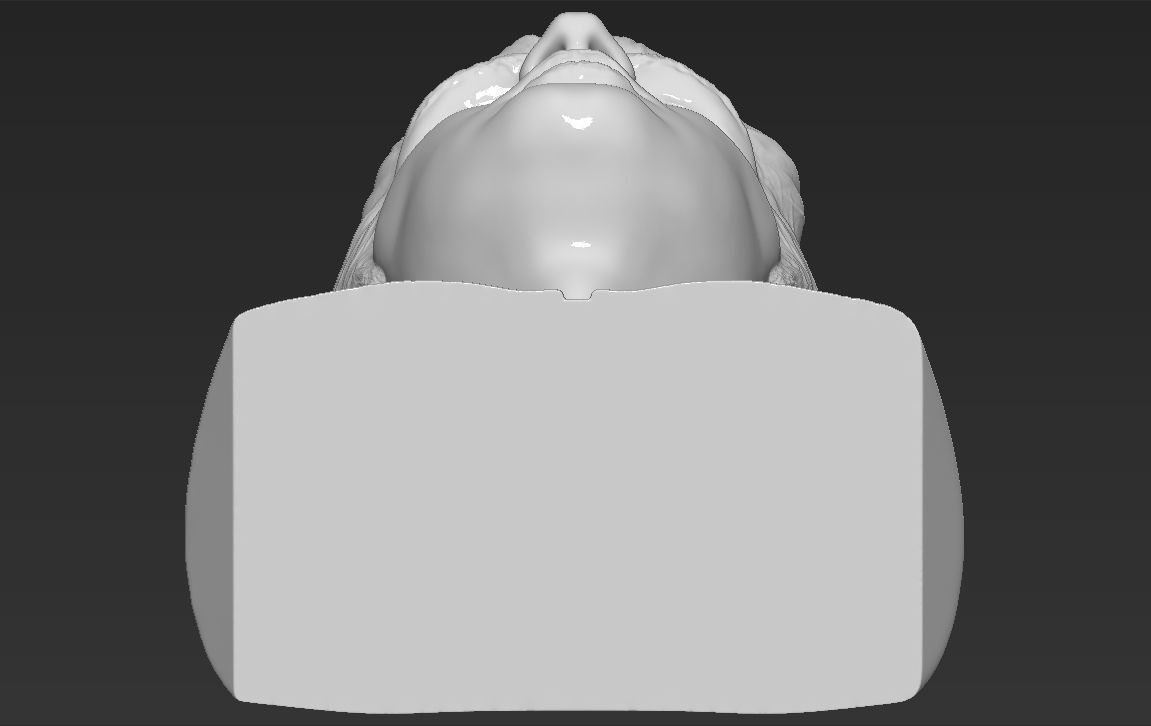 Elvis Presley bust 3D printing ready stl obj formats 3D print model_21