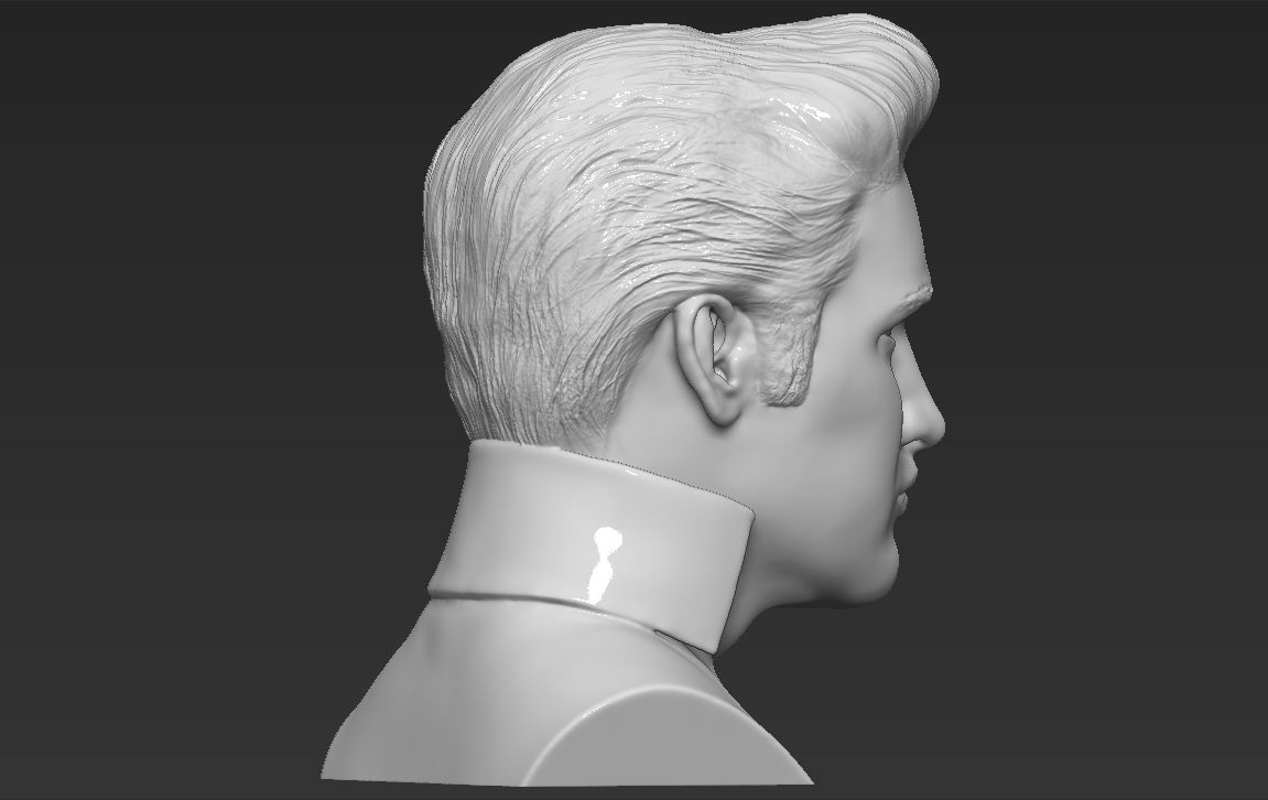 Elvis Presley bust 3D printing ready stl obj formats 3D print model_6