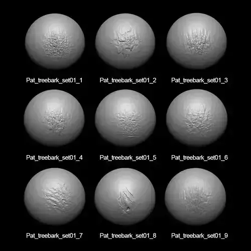 Zbrush Alpha Tree Bark Set01