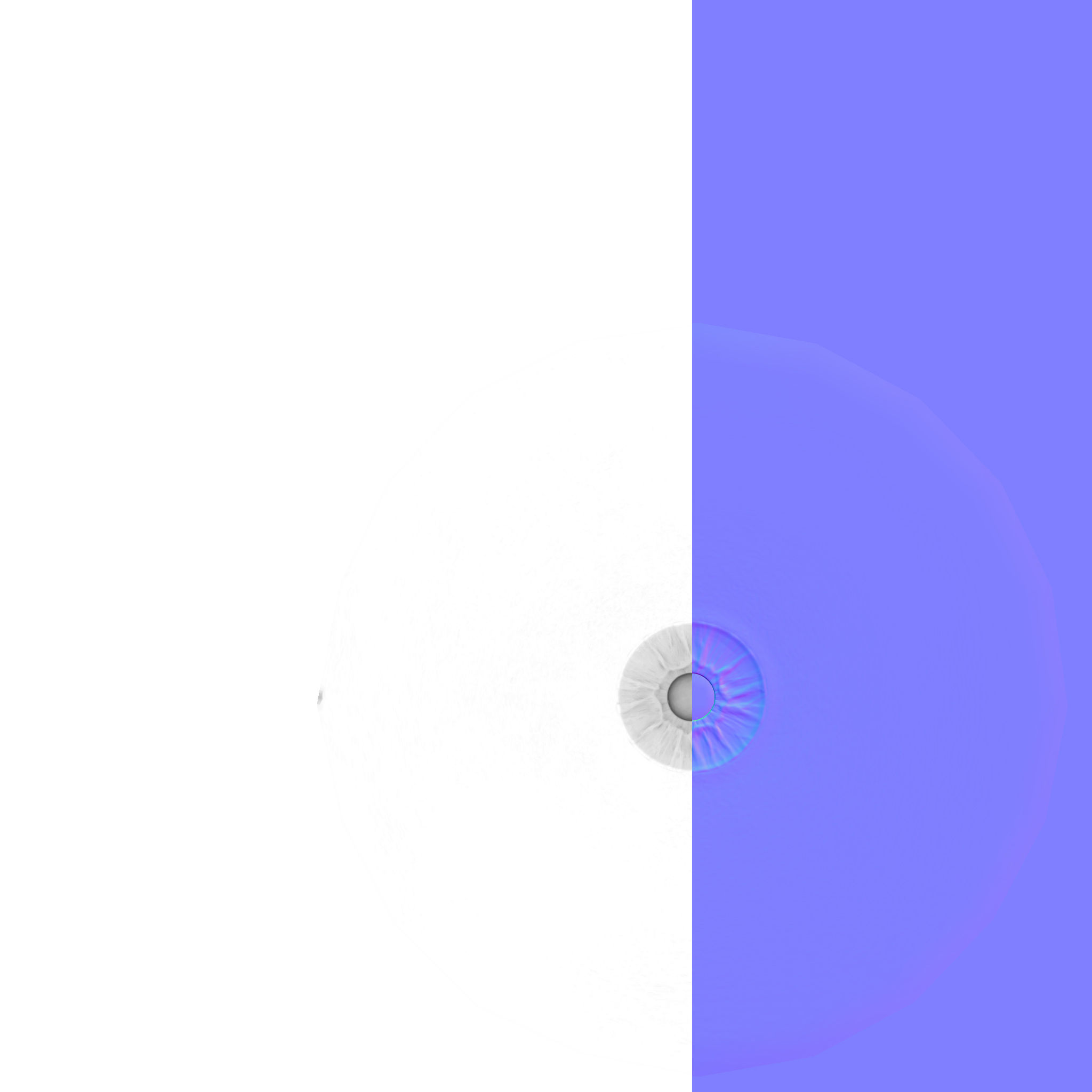 3D Realistic Male with Casual Clothing  Low-poly 3D model_23