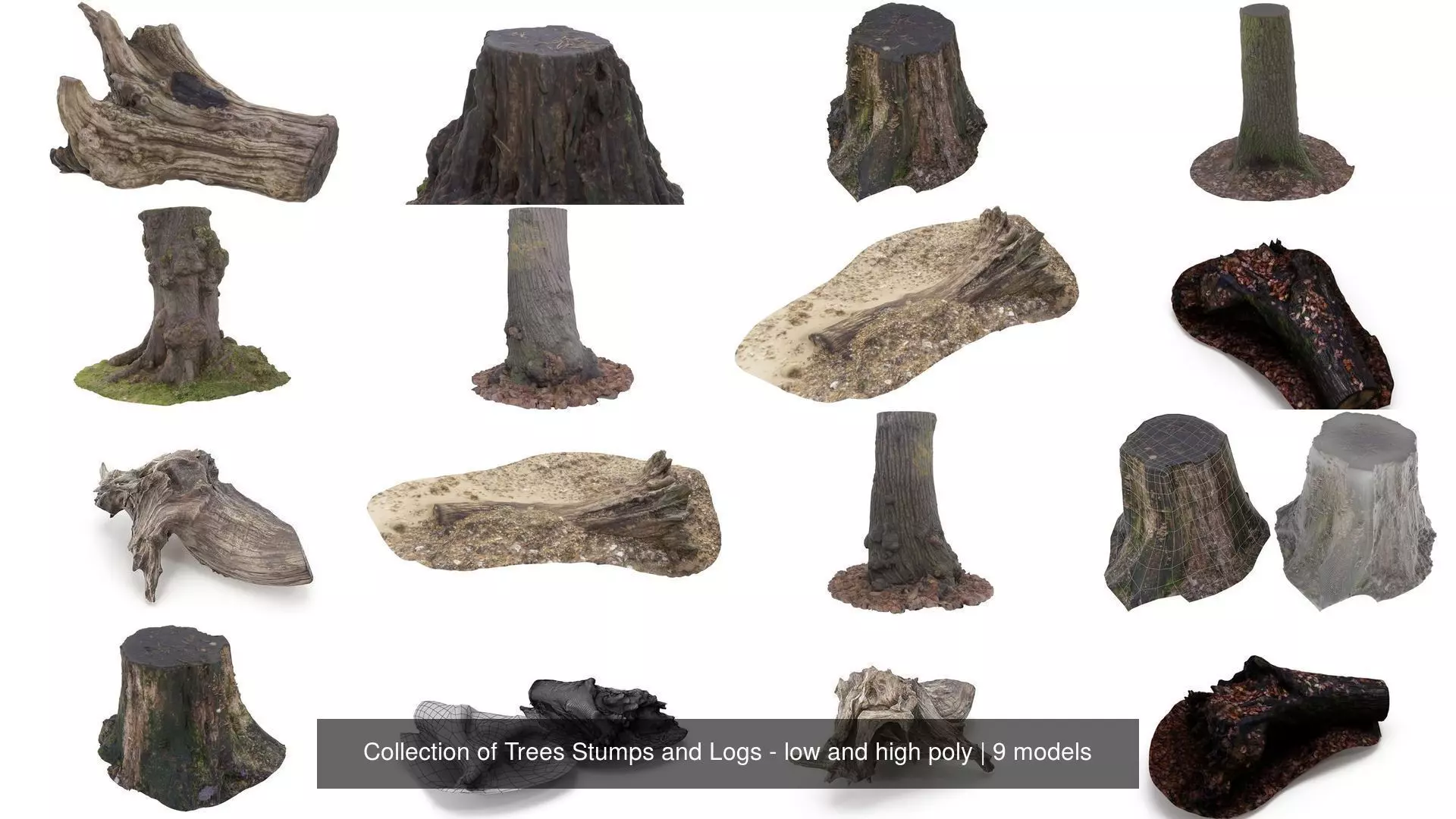 Collection of Trees Stumps and Logs - low and high poly _0