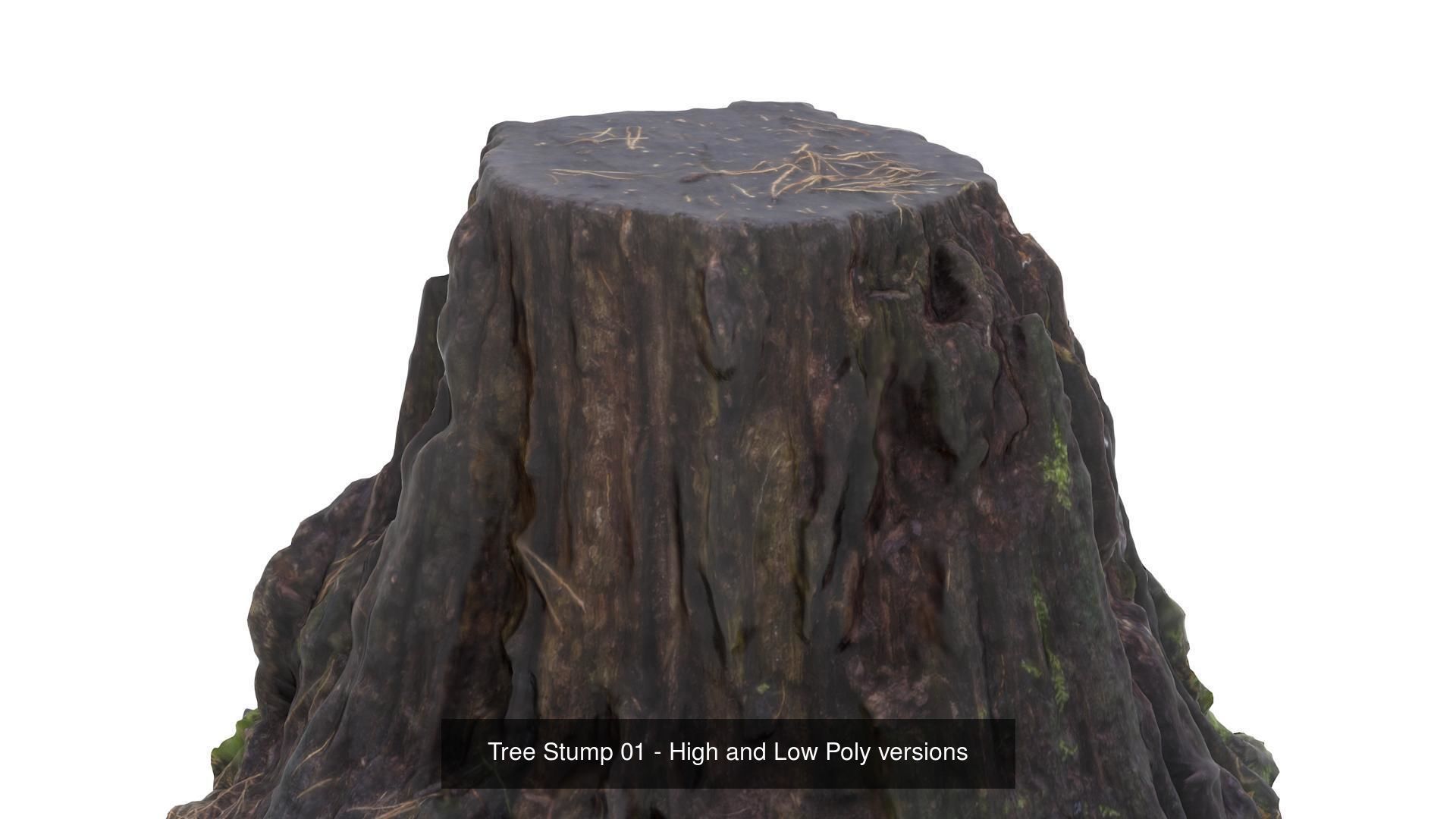 Collection of Trees Stumps and Logs - low and high poly _4