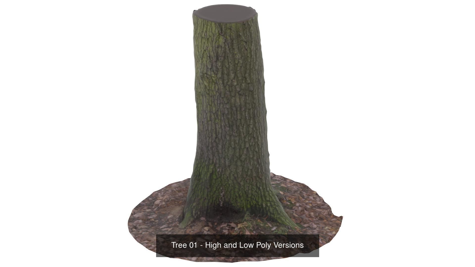 Collection of Trees Stumps and Logs - low and high poly _6