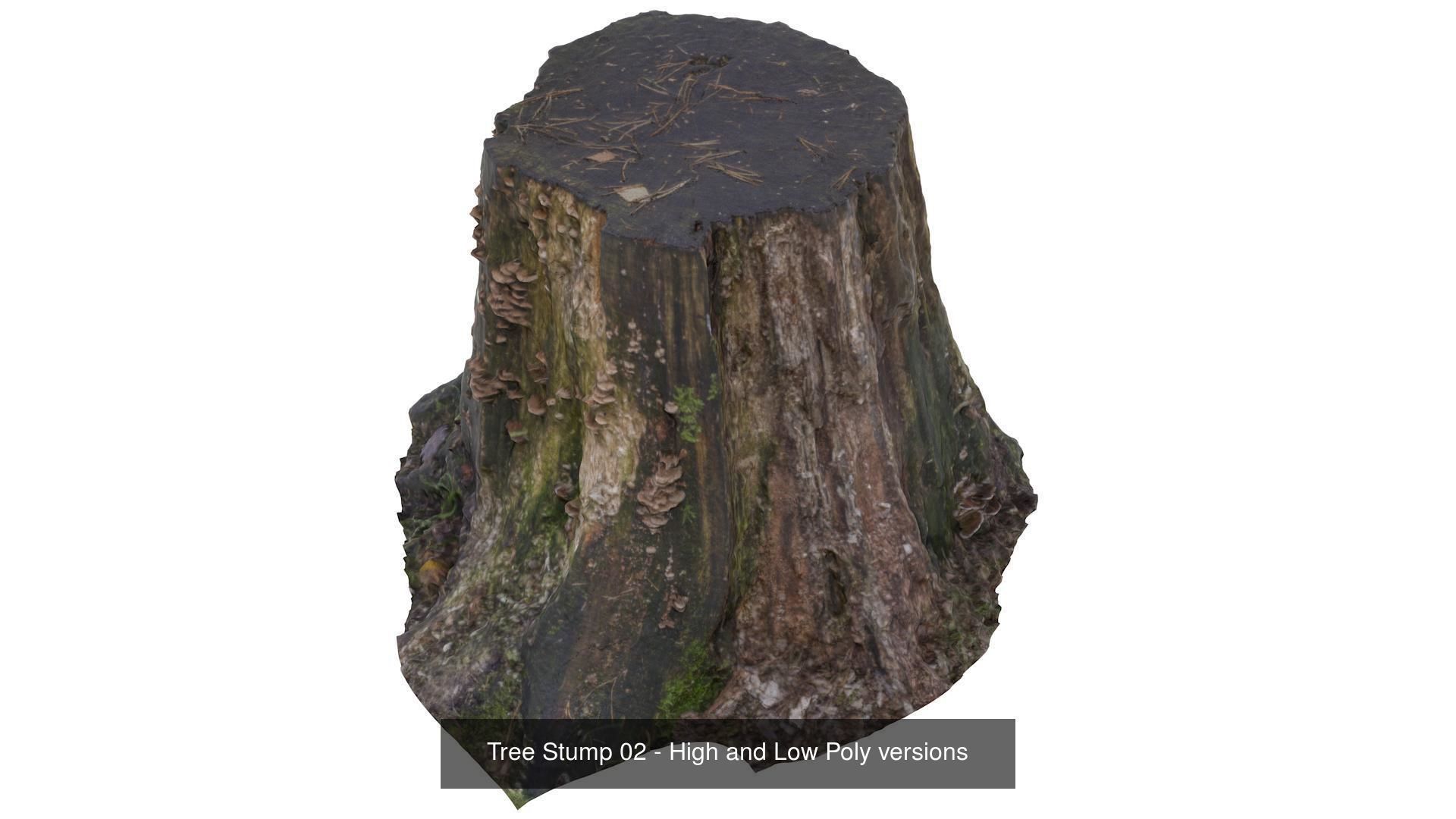 Collection of Trees Stumps and Logs - low and high poly _5