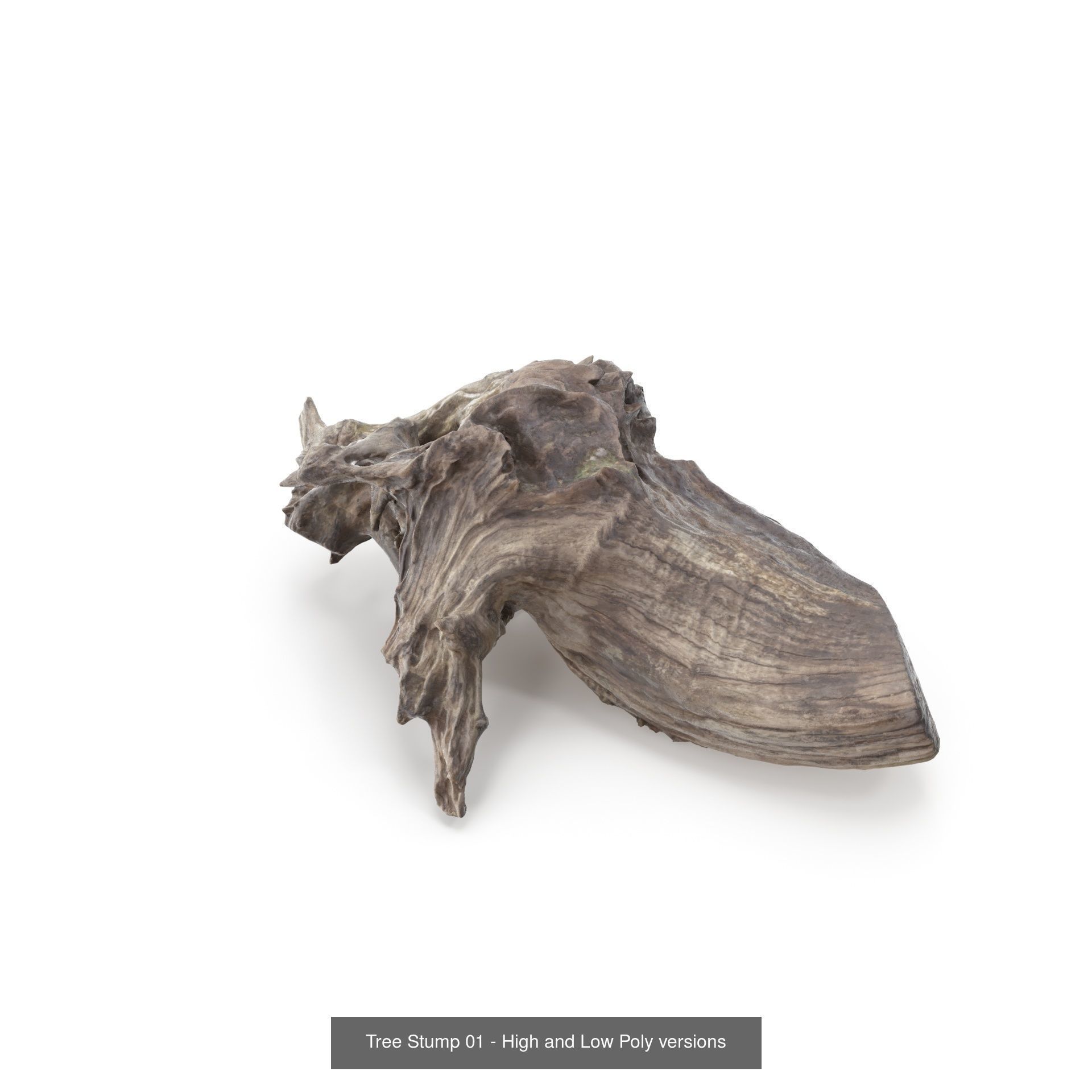 Collection of Trees Stumps and Logs - low and high poly _3