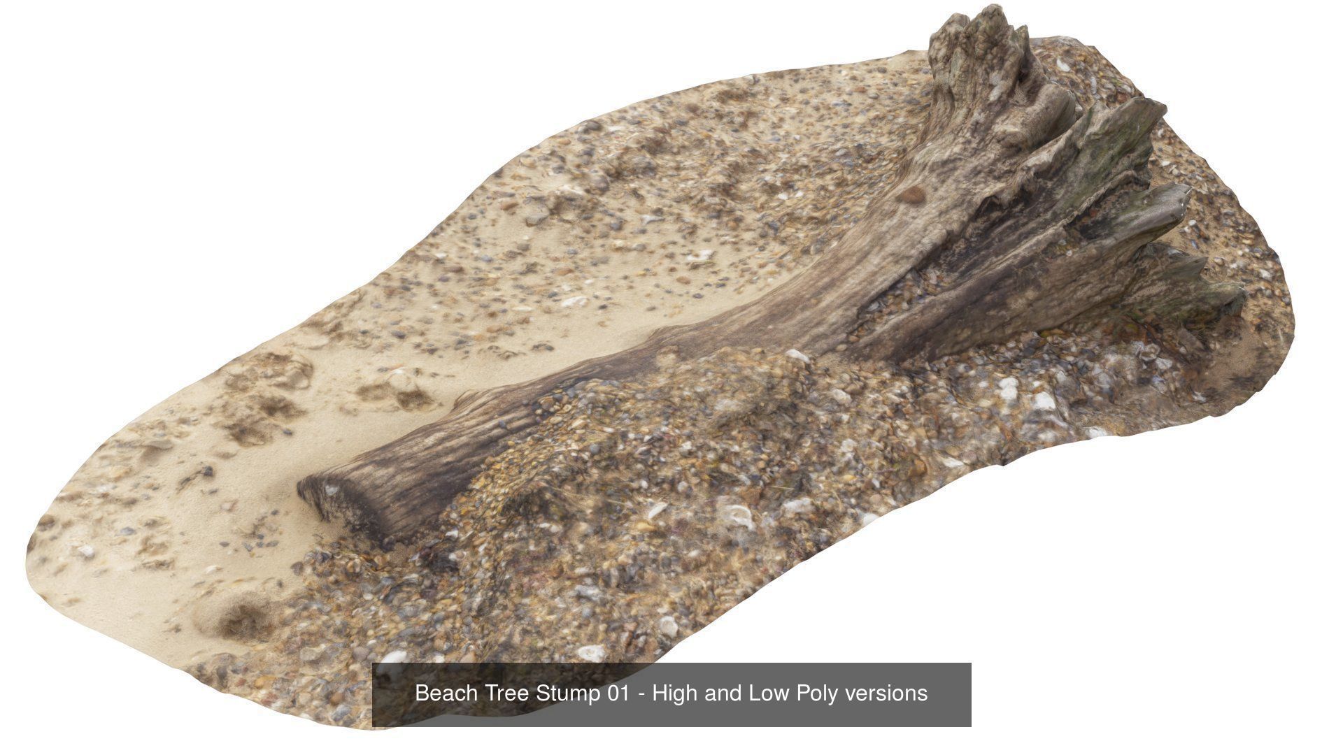 Collection of Trees Stumps and Logs - low and high poly _9