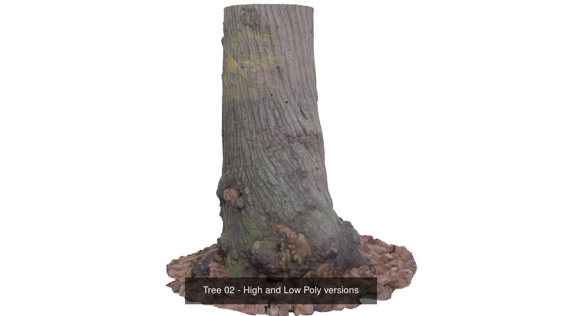 Collection of Trees Stumps and Logs - low and high poly _8