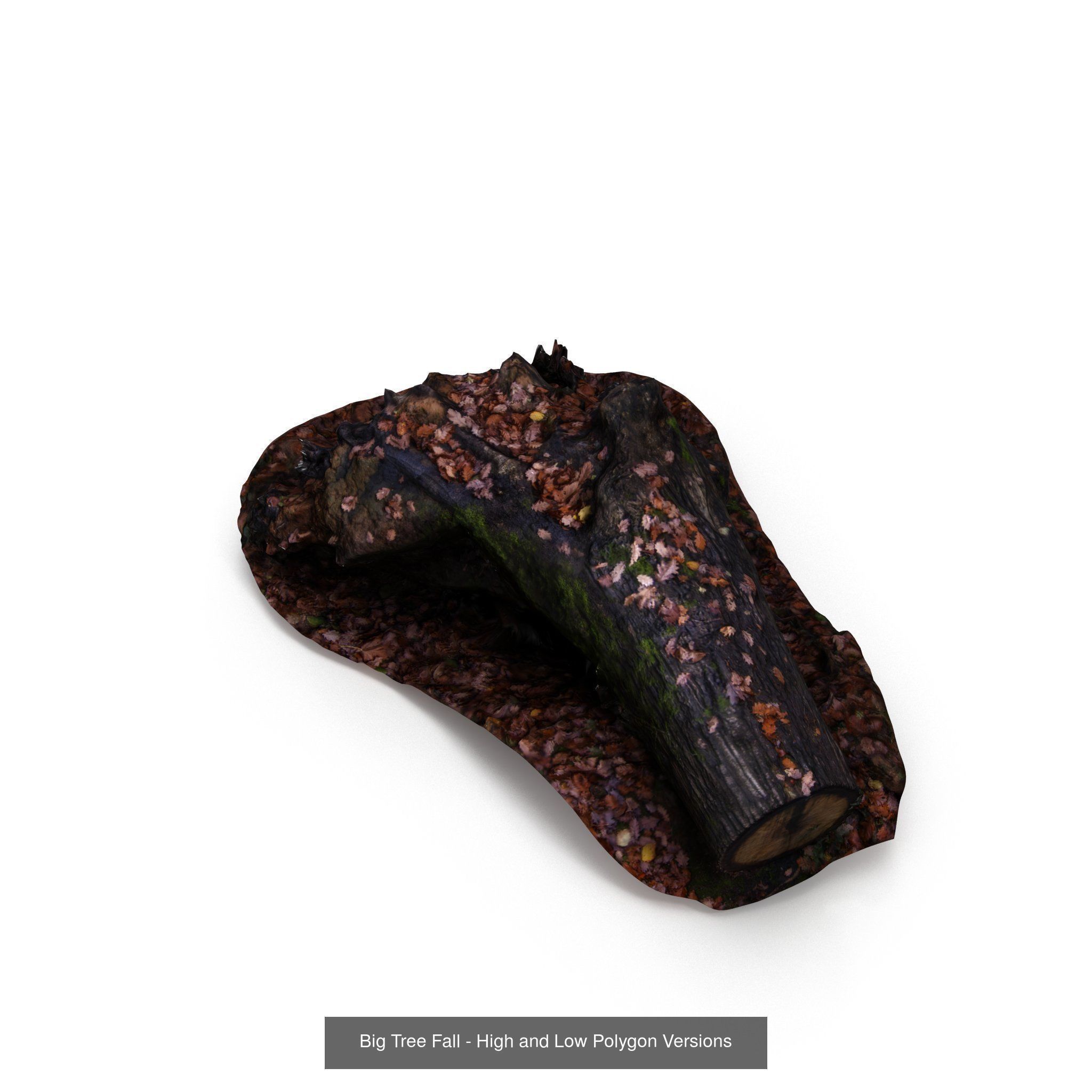 Collection of Trees Stumps and Logs - low and high poly _10