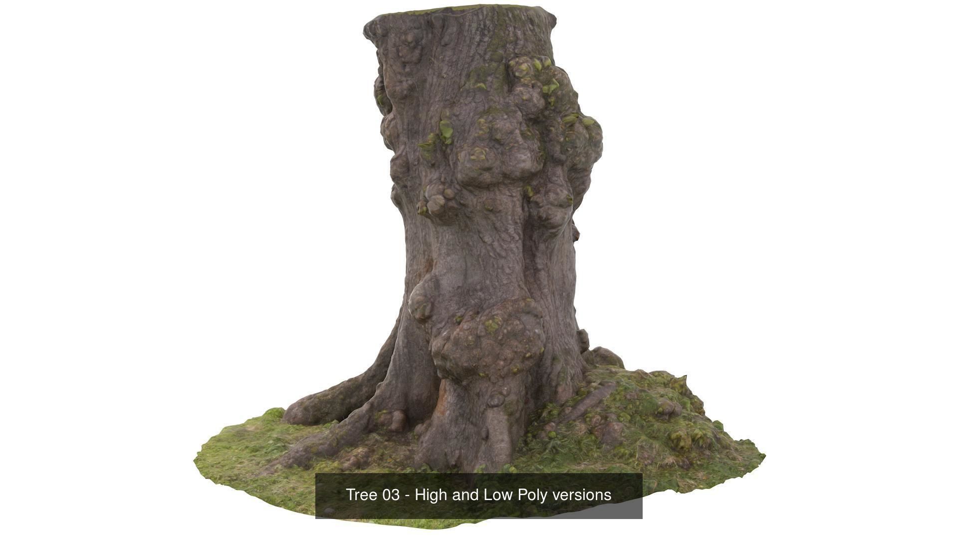 Collection of Trees Stumps and Logs - low and high poly _7