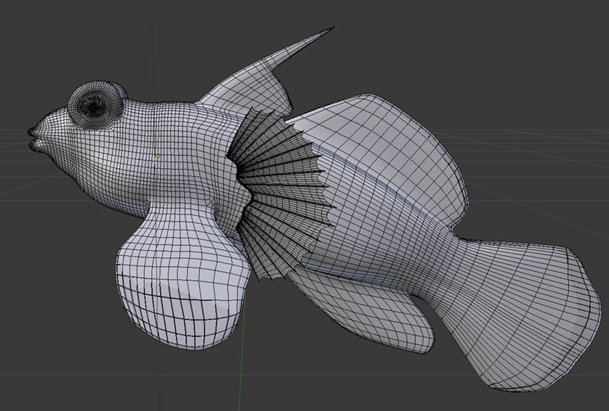 Tropical Fish 3D model_4