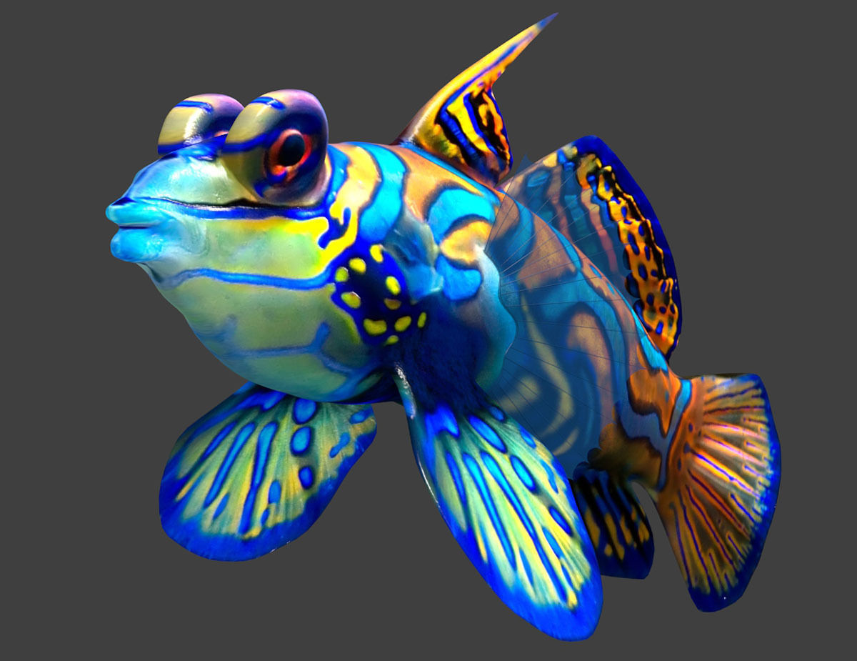 Tropical Fish 3D model_2