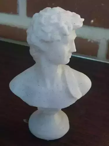 David Bust for 3d Print