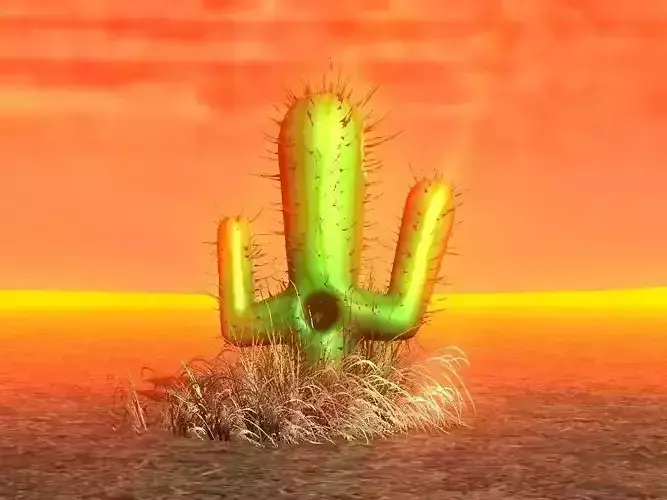 Cactus animation Low-poly 3D model