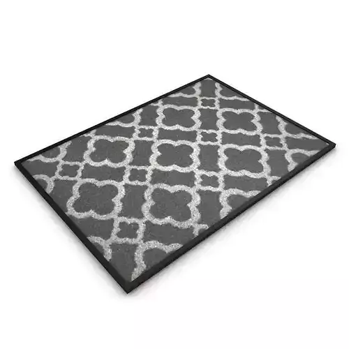 DOORMAT entrance mat with frame