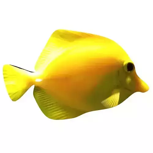 Yellow Tang Tropical Fish 