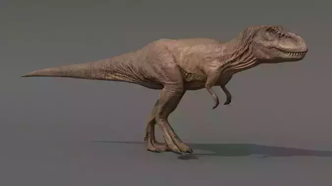 Tyrannosaurus Rex Low-poly 3D model