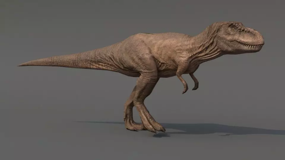 Tyrannosaurus Rex Low-poly 3D model_0