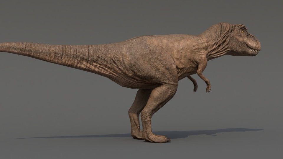 Tyrannosaurus Rex Low-poly 3D model_8