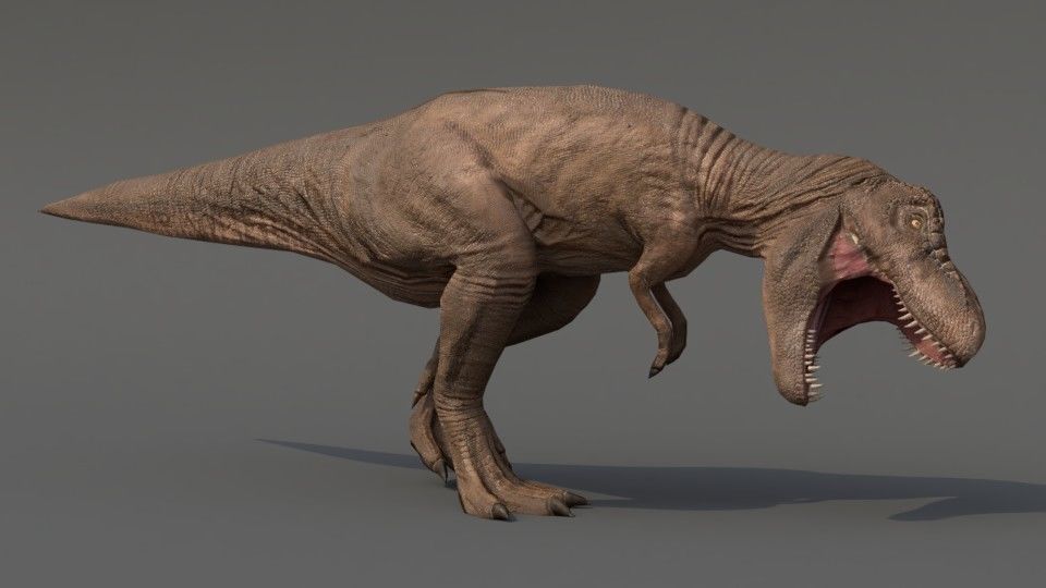 Tyrannosaurus Rex Low-poly 3D model_3