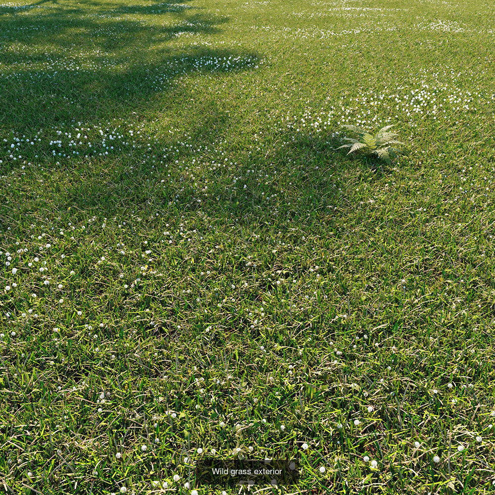 Collection  plants  3D model 01 _6