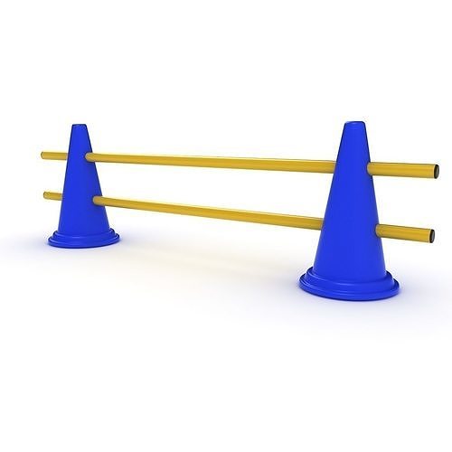 Training Cone 3D model