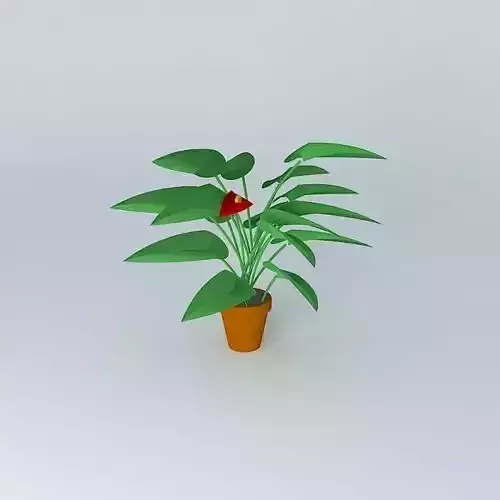 Anthurium plant in pot Free 3D model