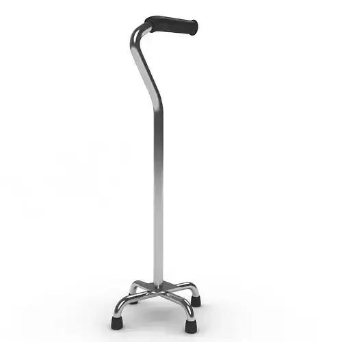 Walking Cane