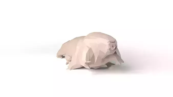 Tardigrade Low Poligonal