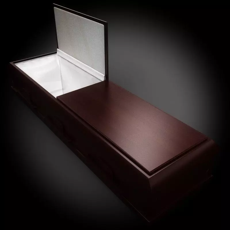Classic Wood Coffin 1 3D model_0