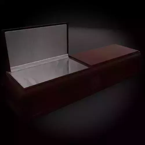 High Def Coffin Mary 3D model