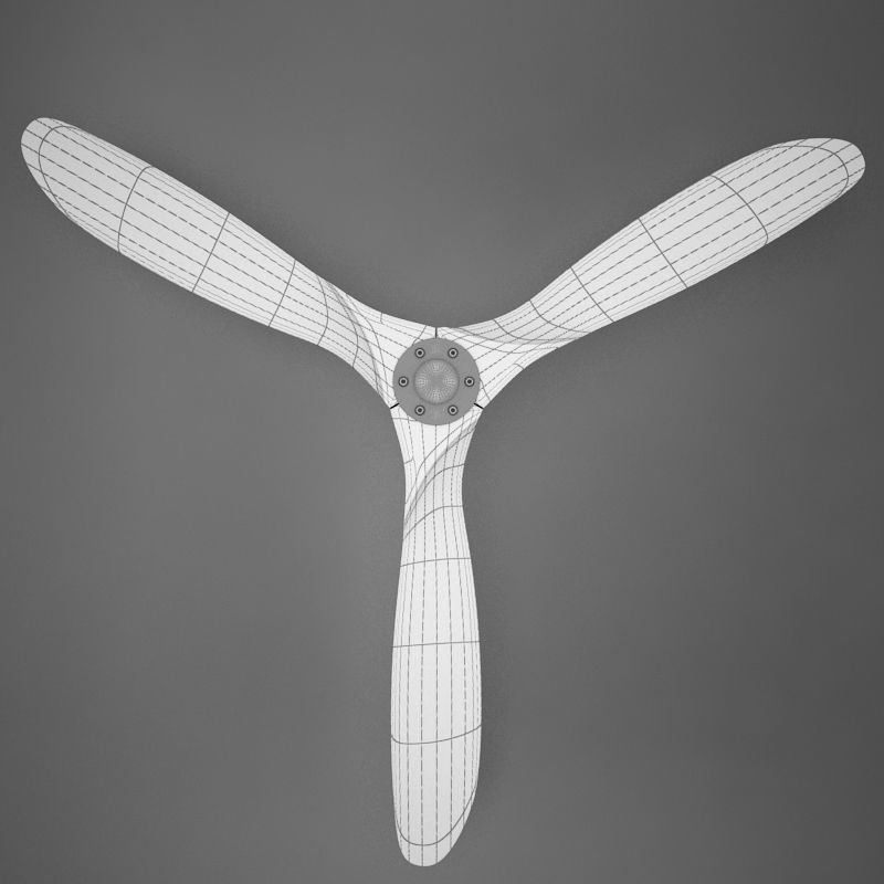 3D HD Fan Propeller Aviator model 3D model_12