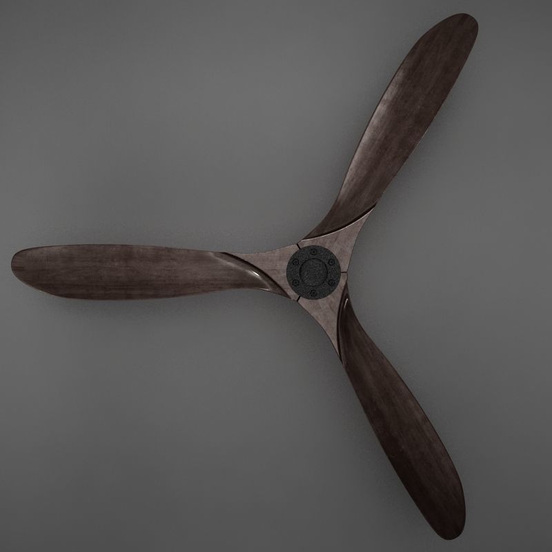 3D HD Fan Propeller Aviator model 3D model_1