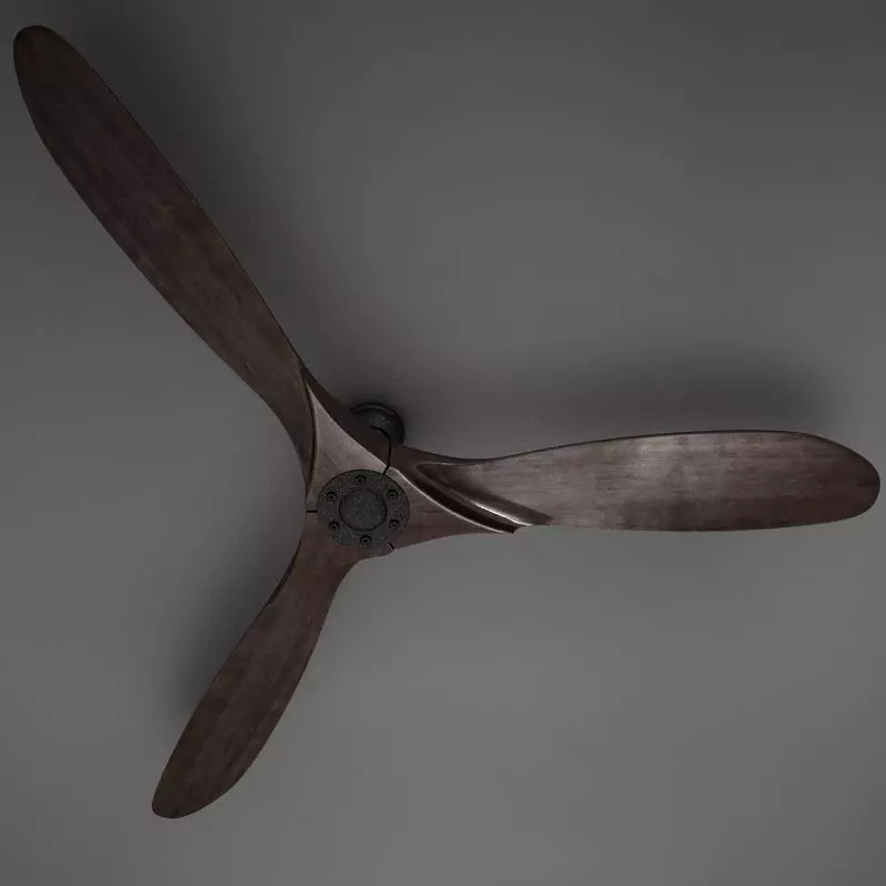 3D HD Fan Propeller Aviator model 3D model_0