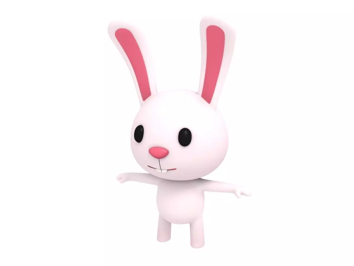 Little Rabbit 3D model_0
