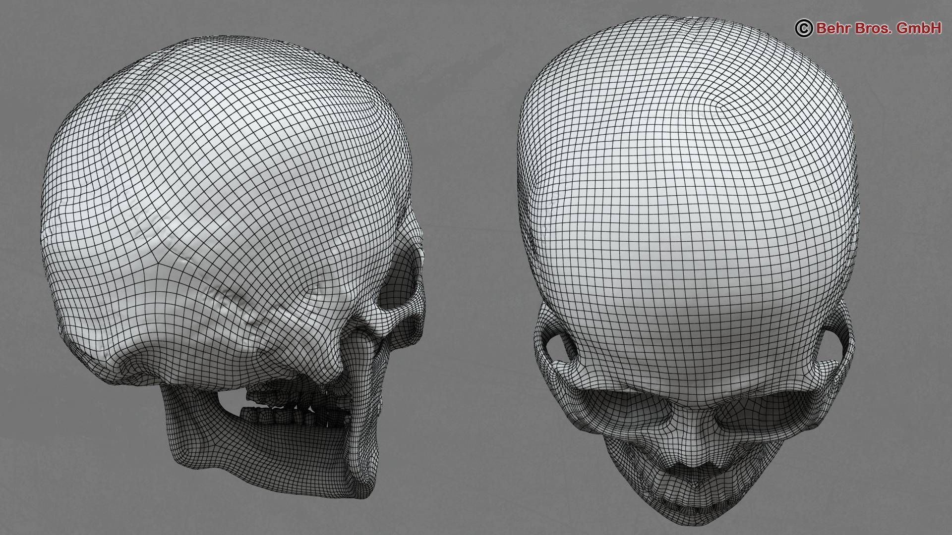 Skull human 3D model_9